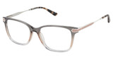 Alexander Collection Eyeglasses Celia Dove/DOVE