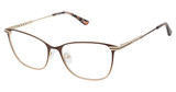 Alexander Collection Eyeglasses Sloane Syrup/SYRUP