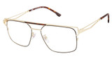 XXL Eyewear Dynamo Gold/GOLD