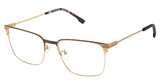 XXL Eyewear Eyeglasses Swarm Gold/GOLD