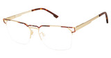 XXL Eyewear Eyeglasses Viper Gold/GOLD