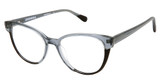 AÉROPOSTALE Eyeglasses AERO2020 Twlight/TWLIGHT