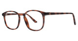 Modern Plastics I Eyeglasses Chris demi amber