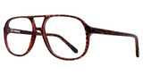 Eye Q Eyewear Eyeglasses Oxford Tortoise