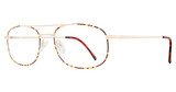 Eye Q Eyewear Eyeglasses SW202 Amber