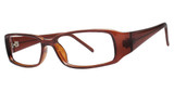 Modern Plastics I Eyeglasses Exotic brown