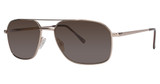 Stetson® Eyeglasses Stetson Sun 8201P Gold/57