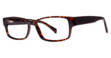 Modern Plastics II Eyeglasses Slick tortoise