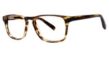 ModZ Eyeglasses Ogden brown haze
