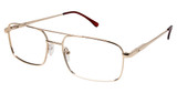 L'Amy Eyeglasses C by L'AMY 614 SHINY GOLD/C02