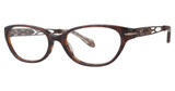 Leon Max Eyeglasses Leon Max 4020 Tortoise/24