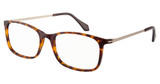VÄRi Eyeglasses VM104 New Tortsat Gld Tpl/C10