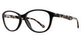 Eye Q Eyewear GTN778 Black