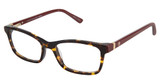 Ann Taylor Eyeglasses ATP808 Tortoise/C02