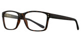 Eye Q Eyewear Eyeglasses SW229 Tortoise/TORTOISE