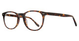 Eye Q Eyewear Eyeglasses MP402 Tortoise/TORTOISE