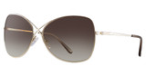 Tom Ford Eyeglasses FT0250 shiny rose gold / gradient brown/28F