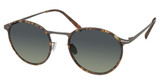 Modo Eyeglasses 684 Tortoise/TORT