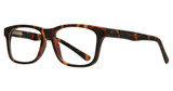 Eye Q Eyewear Eyeglasses SW523 Tortoise/TORTOISE
