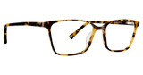 Life is Good Eyeglasses Taylor Tortoise/TOR