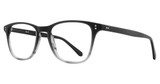 Eye Q Eyewear Eyeglasses MP407 Grey/GREY