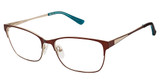 Nicole Miller Eyeglasses Glenmore Brown/Gold/C02