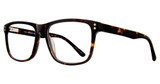 Eight to Eighty Eyewear Eyeglasses Carlos Tortoise
