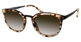 Modo Eyeglasses 453 Milky Tortoise/MLKTT