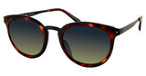 Modo Eyeglasses 453 Tortoise/TORT