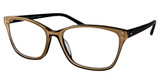 Modo Eyeglasses 6617 GOLD / BLACK/GDBLK