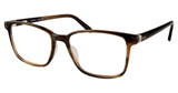 Modo Eyeglasses 6531 BARK/BARK