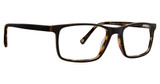 Life is Good Eyeglasses Logan Black Tortoise/BKT