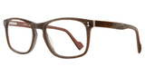 Eye Q Eyewear Eyeglasses G526 Brown/BROWN