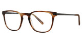 Deja Vu Eyeglasses 9015 Tortoise