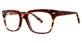 GB+ Eyeglasses Definitive Tortoise