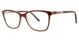 GB+ Eyeglasses Aspire Brown