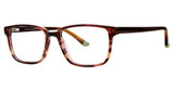 K12 Eyeglasses 4109 Tortoise