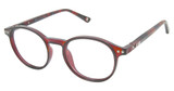 Champion Eyeglasses 7022 BROWN/CRYSTAL/C02