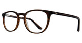 Eye Q Eyewear Eyeglasses YD903 Brown/BROWN