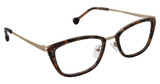 Classique Eyewear HOLD ME HONEY/C3