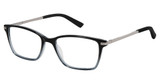 Ted Baker Eyeglasses TFW003 black/BLK