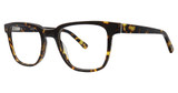 Deja Vu Eyeglasses 9023 Tortoise