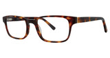 Deja Vu Eyeglasses 9024 Tortoise