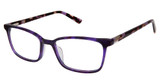 Ted Baker Eyeglasses TPW004 purple/PUR