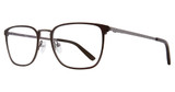 Eye Q Eyewear MP310 Brown/BROWN
