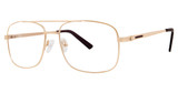 Modz Titanium Eyeglasses Professor gold