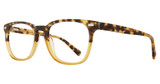 Eye Q Eyewear Eyeglasses MP207 Tortoise/TORTOISE