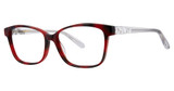 Vera Wang Eyeglasses Evonne Scarlet/SC