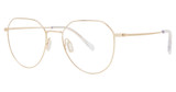 Paradigm Eyeglasses 19-07 Gold/YG