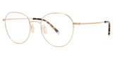Paradigm Eyeglasses 19-09 Gold/YG